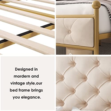 Elegant Queen Size Platform Bed Frame - No Box Spring Needed