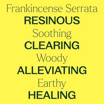 Organic Frankincense Serrata Essential Oil for Wellness