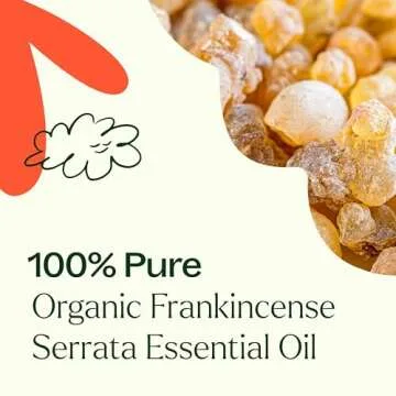 Organic Frankincense Serrata Essential Oil for Wellness