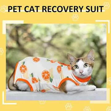 8 Pcs Cat Surgical Recovery Suit Kitten Surgery Full Bodysuit Breathable Cat Bodysuit Alternative Cat Wound Cover Cat Surgical Suit for Kitten Pet Abdominal Wounds Anti Licking Skin Diseases, 8 Styles