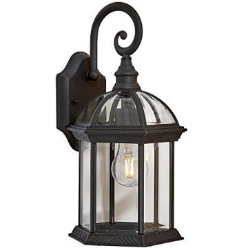 Hamilton Hills Outdoor Wall Sconce with LED Edison Bulb