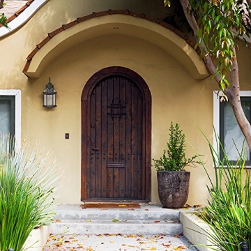 Hamilton Hills Outdoor Wall Sconce with LED Edison Bulb