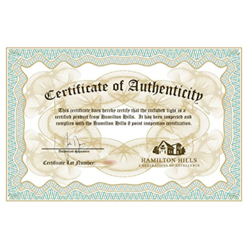 Hamilton Hills Outdoor Wall Sconce with LED Edison Bulb