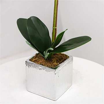 YSZL Artificial Real Touch Phalaenopsis Orchid Flowers Arrangement in Silver Ceramic Pot for Home Decor Centerpieces, White