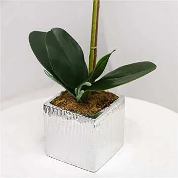 YSZL Orchid Arrangement in Silver Pot for Home Decor