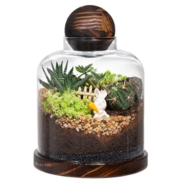 Yangbaga Large Glass Terrarium Succulent Plant Terrarium House for Plant/Moss Ball/Glass Fish Tank M...
