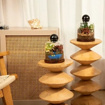 Yangbaga Large Glass Terrarium Succulent Plant Terrarium House for Plant/Moss Ball/Glass Fish Tank Mini Table with Wood Base & Ball lid Office Home Decoration