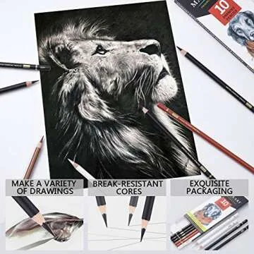 MARKART Professional Colored Charcoal Pencils Drawing Set, 10 Pieces Black White Charcoal Pencils for Sketching, Shading, Blending, Pastel Chalk Pencils for Beginners & Artists