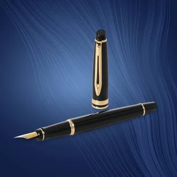 Luxurious Waterman Expert Fountain Pen with Gift Box