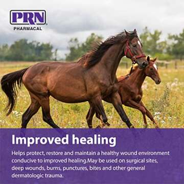 PRN Collasate Wound Spray - Pet Healing Solution - 1 Fl Oz
