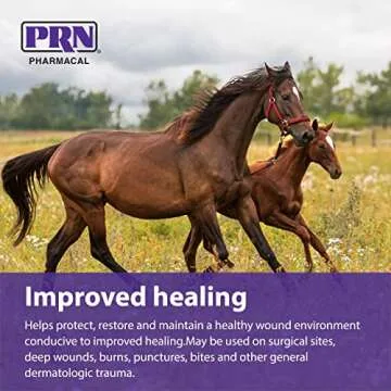 PRN Collasate Wound Spray - Pet Healing Solution - 1 Fl Oz