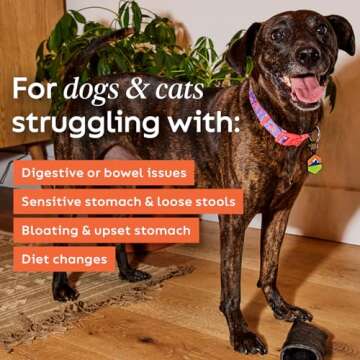 Diggin' Your Dog – Firm Up Pumpkin for Dogs & Cats – Fiber Supplement with Pumpkin & Apple Fiber for Cat & Dog Digestive Support – Made in USA, 16 oz