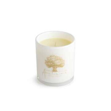 The ANCIENT OLIVE TREES Candle | 65-Hour Burn Time | Made in California | Reminisce Scent - 1 Count