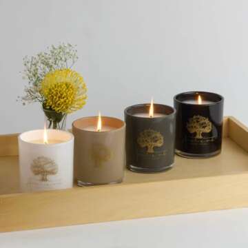 The ANCIENT OLIVE TREES Candle | Reminisce Scent