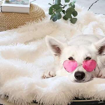 Tuddrom Decorative Extra Soft Faux Fur Blanket Twin Size 70" x 78",Solid Reversible Fuzzy Long Hair Shaggy Blanket,Fluffy Plush Fleece Comfy Microfiber Throw Blanket for Couch Sofa Bed,Pure White