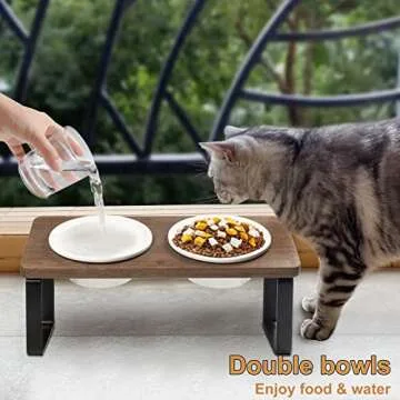 Sunhoo Ceramic Elevated Cat Bowls, Raised Puppy Dishes for Food and Water, Tilted Bamboo Stand for Anti Vomiting, Indoor 5.5 inch Wide Double Dish Orthopedic Anti-Vomiting (Brown)