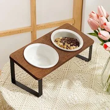 Sunhoo Ceramic Elevated Cat Bowls, Raised Puppy Dishes for Food and Water, Tilted Bamboo Stand for Anti Vomiting, Indoor 5.5 inch Wide Double Dish Orthopedic Anti-Vomiting (Brown)