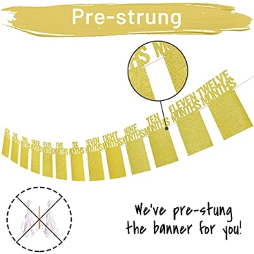 PartyHooman Birthday Photo Banner for 1st Celebrations