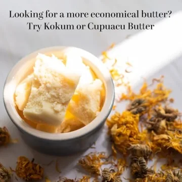 Discover Pure Cocoa Butter for Stretch Marks & Scars