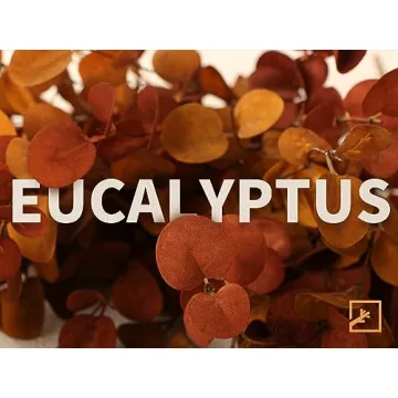 Elegant ZIFTY 6 Pcs Fall Eucalyptus Stems for Home Decor