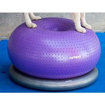 Durable FitPaws® Circular Product Holder for TRAX™ Donut | Dog Fitness & Agility Equipment