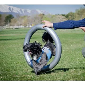 FitPaws® Circular Holder for TRAX™ Donut - Trainer Gear