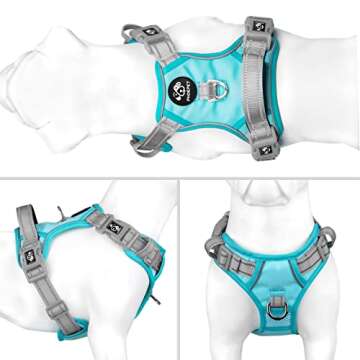PHOEPET No Pull Dog Harness, Unique Colors Reflective Adjustable Dog Vest, with Soft Training Handle...
