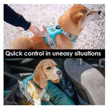 PHOEPET No Pull Dog Harness, Unique Colors Reflective Adjustable Dog Vest, with Soft Training Handle Metal Clips for Small Medium Large Dogs (Mint Green Base & Grey Straps,S)