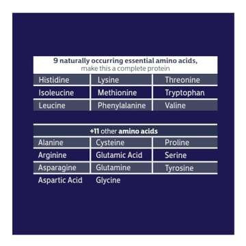 Biochem 100% Whey Isolate Protein - Chocolate Flavor - 30.9 Ounce - Supports Immune Health - Easily Digestible - Refreshing Taste - 20g Vegetarian Protein - Amino Acids…