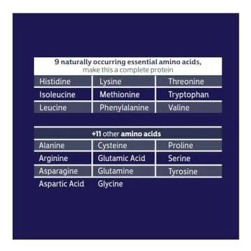 Biochem 100% Whey Isolate Protein - Chocolate Flavor - 30.9 Ounce - Supports Immune Health - Easily Digestible - Refreshing Taste - 20g Vegetarian Protein - Amino Acids…