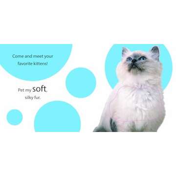 Touch and Feel: Kitten