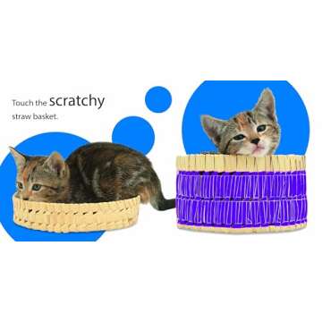 Touch and Feel: Kitten