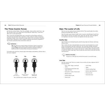 Ayurveda (Idiot's Guides)