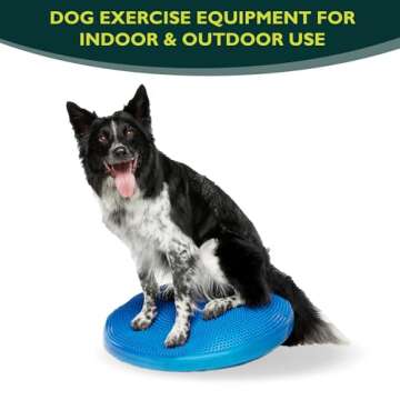 FitPAWS® Dog Balance Disc -Blue, 22" | Dog Exercise Equipment | Workout Tool for Strength, Core, St...