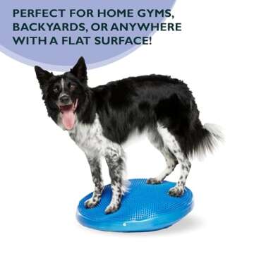 FitPAWS® Dog Balance Disc -Blue, 22" | Dog Exercise Equipment | Workout Tool for Strength, Core, Stability & Rehabilitation