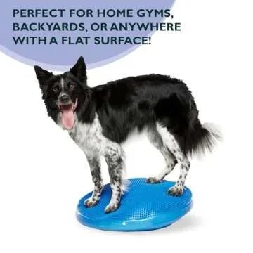 FitPAWS® Dog Balance Disc -Blue, 22" | Dog Exercise Equipment | Workout Tool for Strength, Core, Stability & Rehabilitation