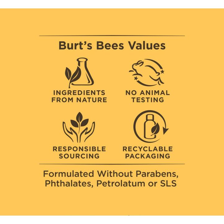 Burt's Bees Everyday Essentials: Natural & Effective
