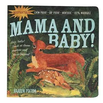 Indestructible Book Set - Safe Baby Proof Storybooks