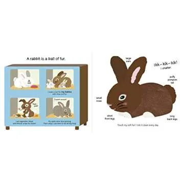 Touch and Explore Farm for Kids – Engage & Learn