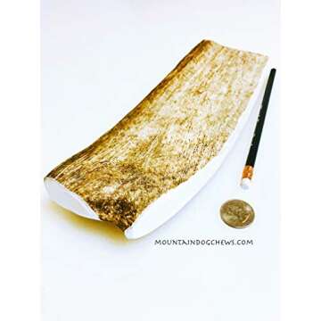 Mountain Dog Chews Mammoth Moose Paddle - Premium Organic Antler Chew for Dogs - Big Size, Long Last...