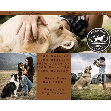 Premium Moose Antler Chew for Large Dogs