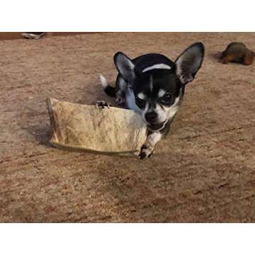 Premium Moose Antler Chew for Large Dogs