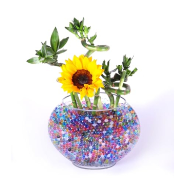 Giraffe 55000 Pack Rainbow Mix for Vase Fillers and Decor