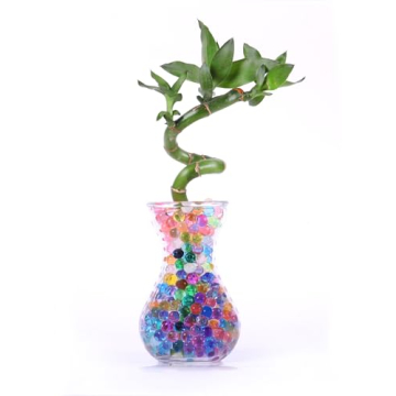 Giraffe 55000 Pack Rainbow Mix for Vase Fillers and Decor