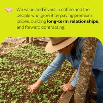 Counter Culture Coffee Hologram - Medium Roast, Sustainably Farmed, Kosher, Whole Bean Coffee, 12 oz (1 Bag)