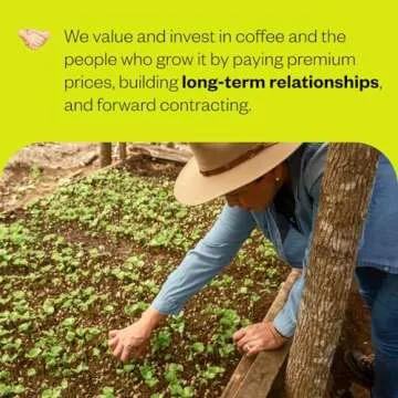 Counter Culture Coffee Hologram - Medium Roast, Sustainably Farmed, Kosher, Whole Bean Coffee, 12 oz (1 Bag)