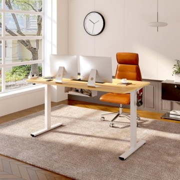 FLEXISPOT EN2 Standing Desk - Adjustable Height with Memory