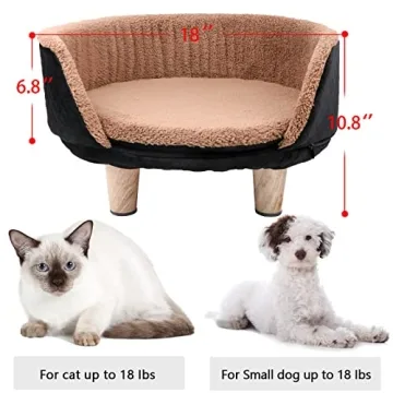 Modern Elevated Cat Bed for Indoor Pets - Easy to Clean