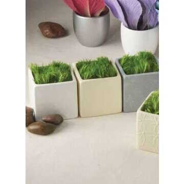 Ivy Lane Design Smooth Square Favor Flower Pots, Gray Stone, Set of 5