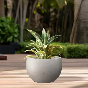 Kante Round Concrete Planter for Indoor & Outdoor Decor